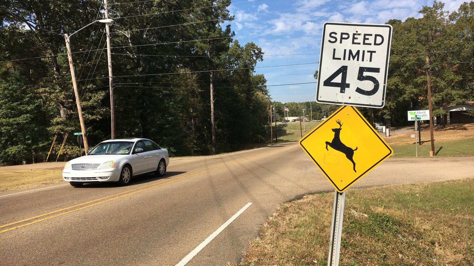 Collisions increase in the fall, winter